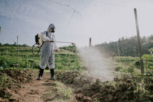 Best Ant Control Services  in Birchwood Lakes, PA