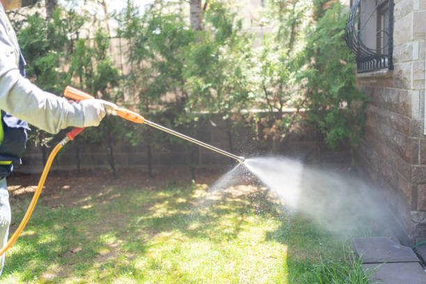 Best Mosquito Control Services  in Birchwood Lakes, PA