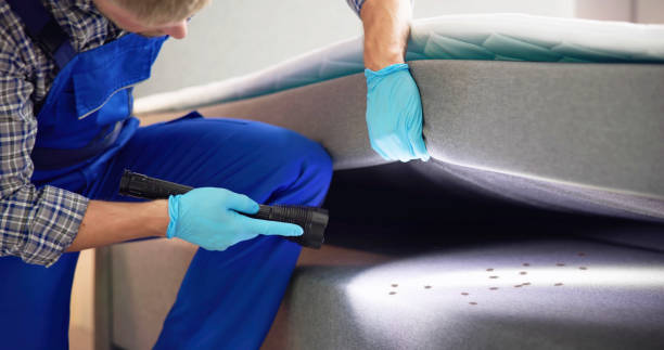 Best Termite Control Services  in Birchwood Lakes, PA