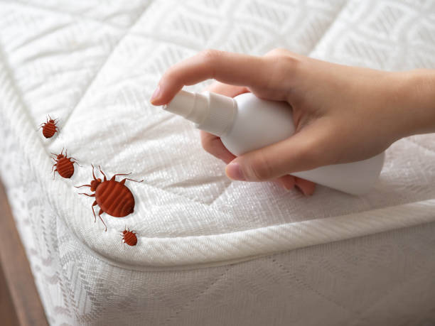 Best Flea Control Services  in Birchwood Lakes, PA