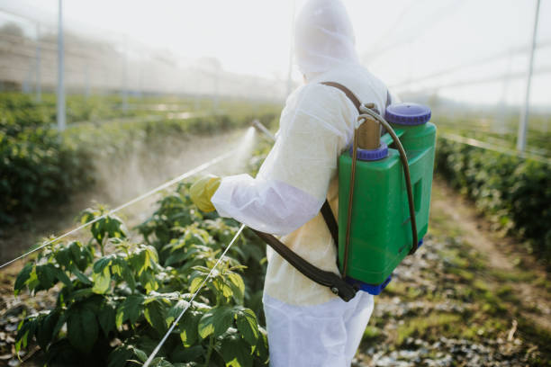 Wildlife Control Services in Birchwood Lakes, PA